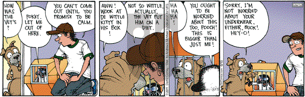 Get Fuzzy on Tuesday June 10, 2025 Comic Strip
