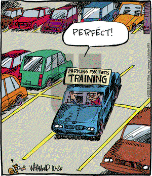 Reality Check on Tuesday October 20, 2015 Comic Strip