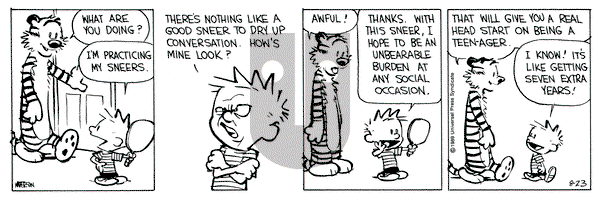 Calvin and Hobbes on Wednesday August 23, 1989 Comic Strip