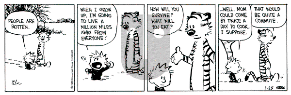 Calvin and Hobbes on Wednesday January 25, 1989 Comic Strip