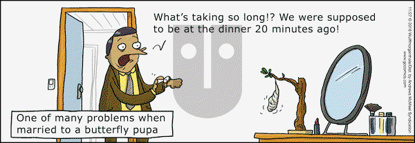 WuMo on Tuesday November 27, 2018 Comic Strip