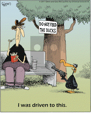 The Flying McCoys on Thursday August 18, 2011 Comic Strip