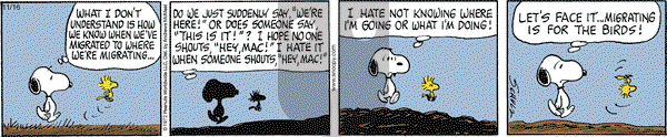 Peanuts - Saturday November 16, 2019 Comic Strip