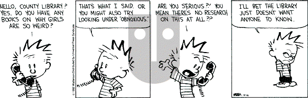 Calvin and Hobbes - Friday October 16, 1992 Comic Strip