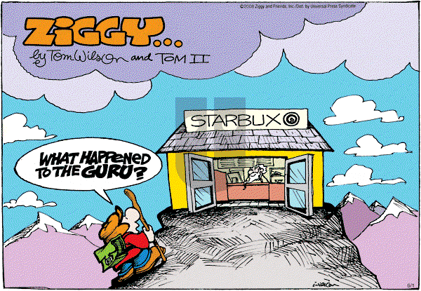 Ziggy - Sunday June 1, 2008 Comic Strip
