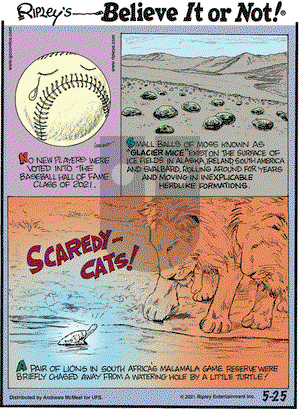 Ripley's Believe It or Not on Tuesday May 25, 2021 Comic Strip