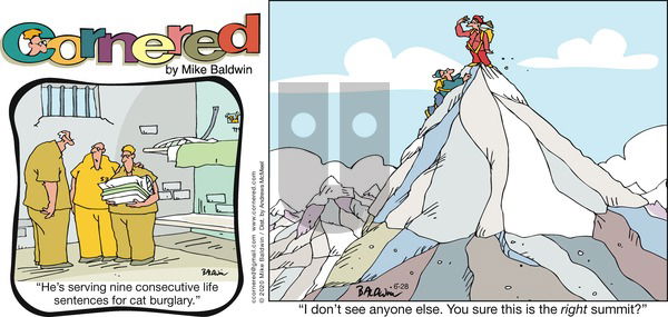 Cornered on Sunday June 28, 2020 Comic Strip