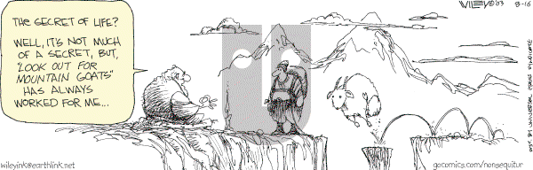 Non Sequitur - Thursday August 16, 2007 Comic Strip