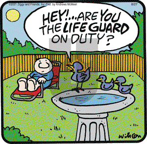 Ziggy on Friday August 27, 2021 Comic Strip