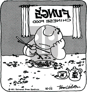 Ziggy on Friday October 22, 1971 Comic Strip