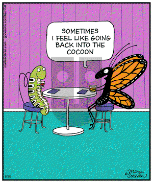 Half Full on Wednesday August 20, 2014 Comic Strip