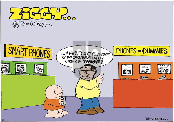 Ziggy on Sunday December 2, 2012 Comic Strip