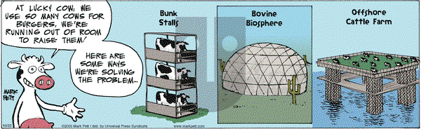 Lucky Cow on Saturday October 22, 2005 Comic Strip