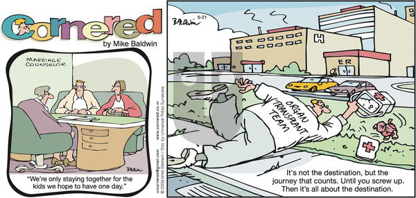 Cornered on Sunday June 21, 2009 Comic Strip