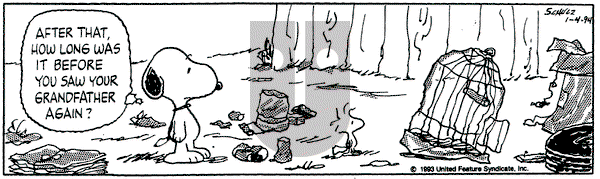 Peanuts on Tuesday January 4, 1994 Comic Strip