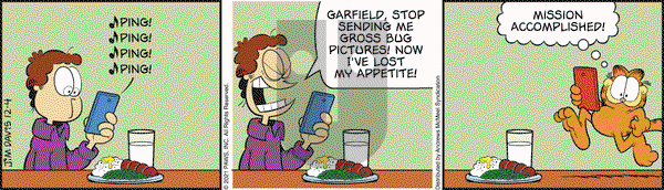 Garfield - Saturday December 4, 2021 Comic Strip
