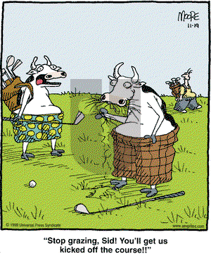 In the Bleachers on Friday November 19, 1999 Comic Strip