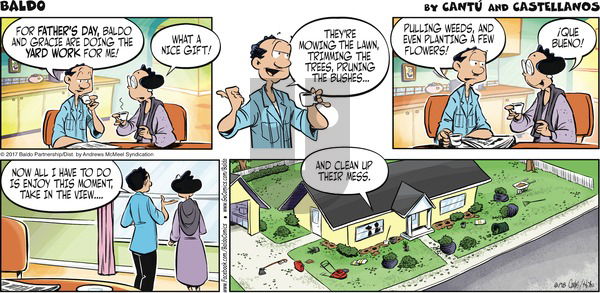 Baldo on Sunday June 18, 2017 Comic Strip