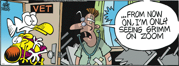 Mother Goose and Grimm - Thursday July 11, 2024 Comic Strip