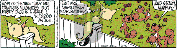 Rose is Rose on Saturday June 16, 2018 Comic Strip