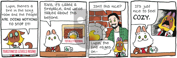 Breaking Cat News on Monday May 29, 2017 Comic Strip