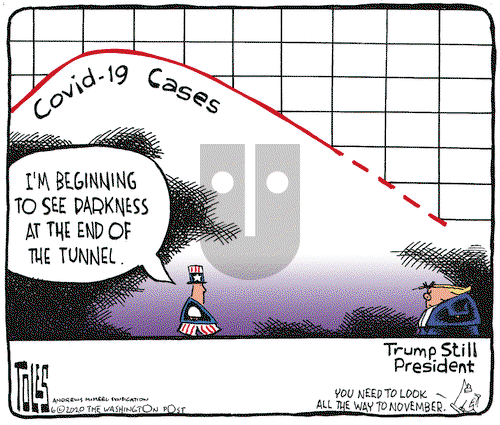 Tom Toles on Monday June 1, 2020 Comic Strip