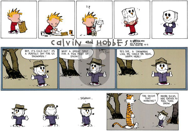Calvin and Hobbes on Sunday November 21, 1993 Comic Strip