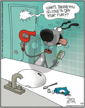 The Flying McCoys on Friday January 27, 2017 Comic Strip