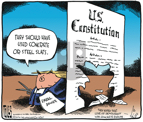 Tom Toles on Wednesday February 20, 2019 Comic Strip