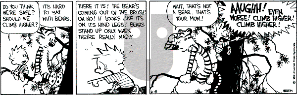Calvin and Hobbes - Thursday June 8, 1989 Comic Strip