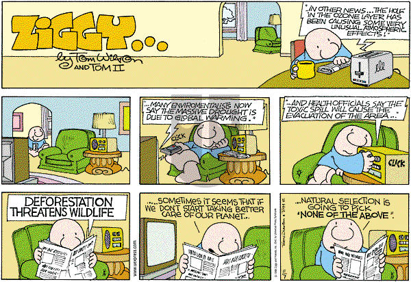 Ziggy - Sunday November 7, 1999 Comic Strip
