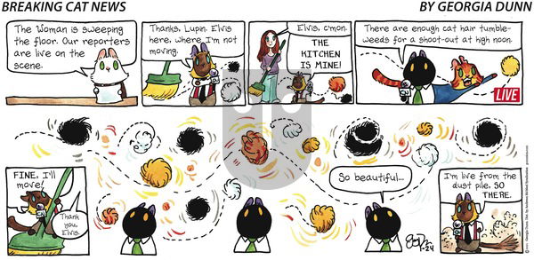 Breaking Cat News on Sunday January 24, 2021 Comic Strip