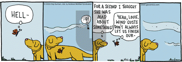 Overboard on Thursday May 22, 2025 Comic Strip
