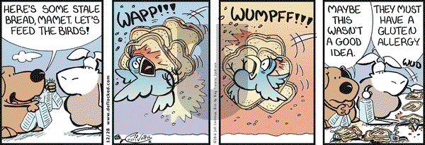 DeFlocked on Wednesday December 28, 2016 Comic Strip