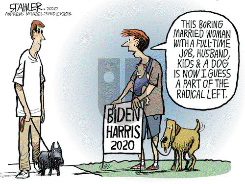 Jeff Stahler on Thursday August 13, 2020 Comic Strip