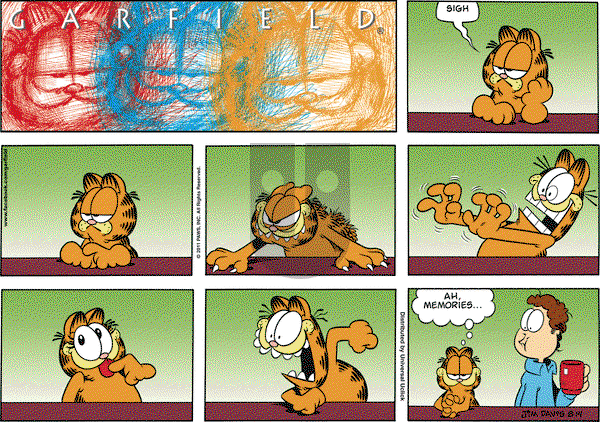 Garfield - Sunday August 14, 2011 Comic Strip