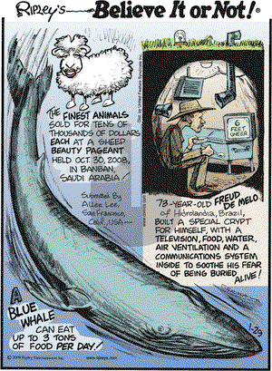 Ripley's Believe It or Not on Thursday January 29, 2009 Comic Strip