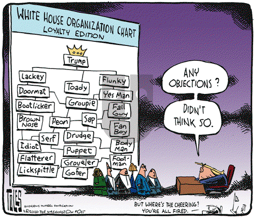 Tom Toles on Wednesday February 26, 2020 Comic Strip