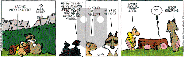 Over the Hedge on Monday June 3, 2013 Comic Strip