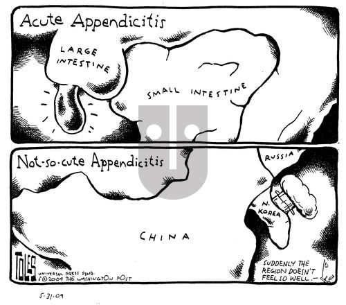 Tom Toles on Sunday May 31, 2009 Comic Strip