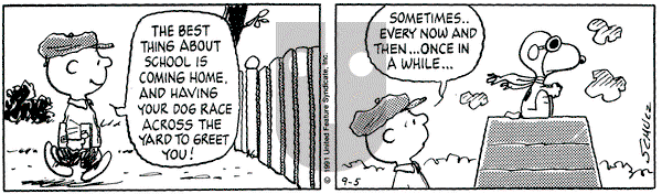 Peanuts on Thursday September 5, 1991 Comic Strip