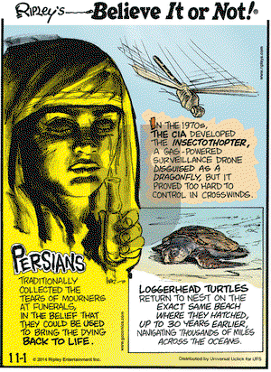 Ripley's Believe It or Not on Saturday November 1, 2014 Comic Strip