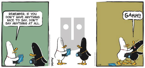 W.T. Duck on Sunday January 18, 2009 Comic Strip