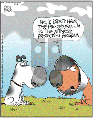 The Flying McCoys on Thursday January 23, 2020 Comic Strip