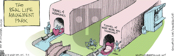 Non Sequitur on Thursday July 11, 2013 Comic Strip