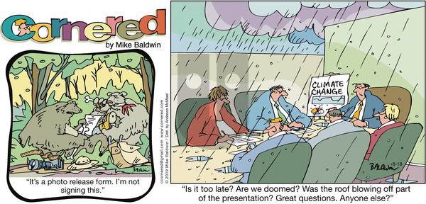 Cornered on Sunday August 18, 2019 Comic Strip