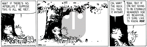 Calvin and Hobbes on Monday June 21, 1993 Comic Strip