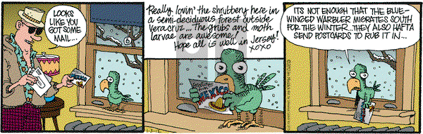 Monty on Tuesday January 3, 2012 Comic Strip