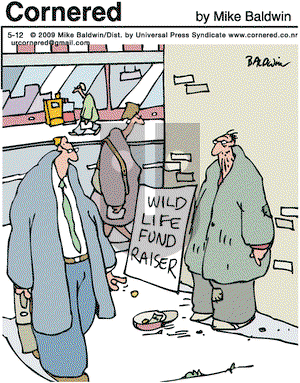 Cornered on Tuesday May 12, 2009 Comic Strip
