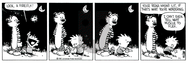 Calvin and Hobbes on Wednesday July 1, 1987 Comic Strip